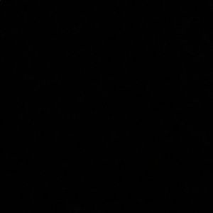 Meet your Posher, Shane